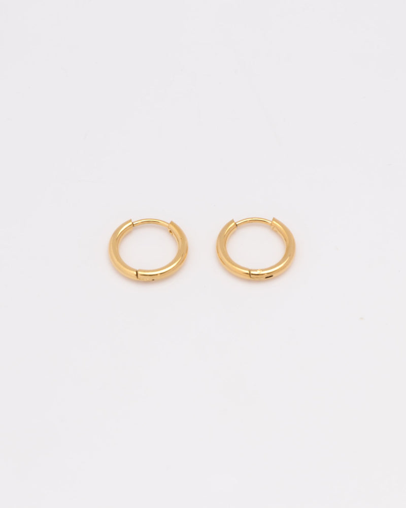 Luminara Gold Small Hoop Earrings